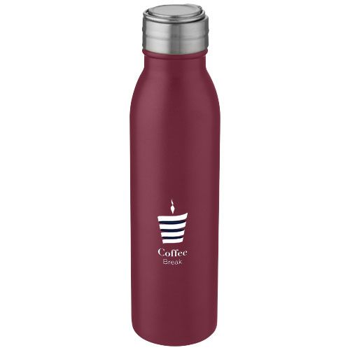 Bidon ze stali nierdzewnej Harper o pojemności 700 ml z metalową pętelką